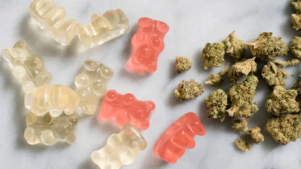 cannabis edibles